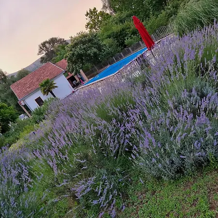 別荘 Harmony モスタル